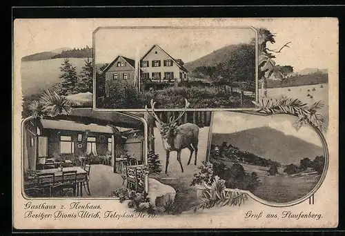 AK Staufenberg, Gasthaus zum Neuhaus, Innenansicht, Panorama