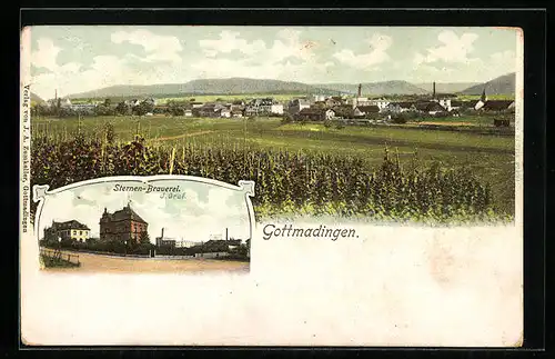 AK Gottmadingen, Sternen-Brauerei J. Graf, Teilansicht