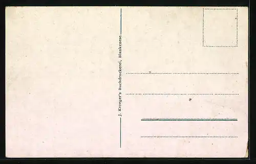 AK Hamburg-Billwärder, Gasthaus Haves Etablissement, Moorfleth, mit Strasse