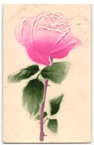 Präge-Airbrush-AK Blühende rosa Rose