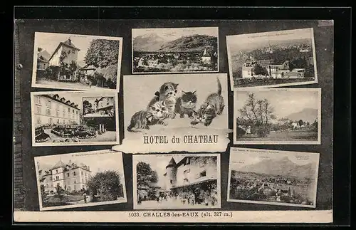 AK Challes-les-Eaux, Hotel du Chateau, Savoie Tourisme