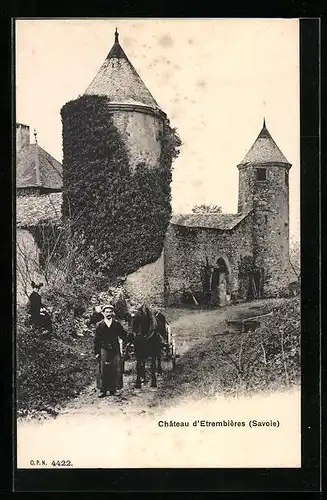 AK Etrembières, Château