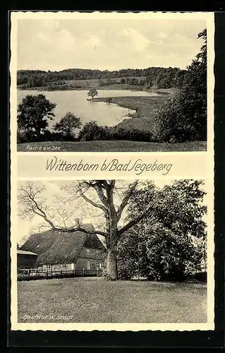 AK Wittenborn bei Bad Segeberg, Seepartie, Gasthasu W. Studt