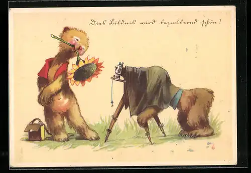 AK Teddy mit Sonnenblume wird fotografiert, Fotoapparat