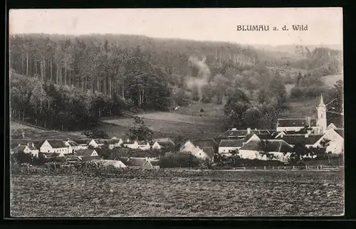 AK Blumau a. d. Wild, Teilansicht mit Kirche