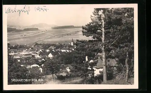AK Sieghartskirchen, Teilansicht mit Bäumen