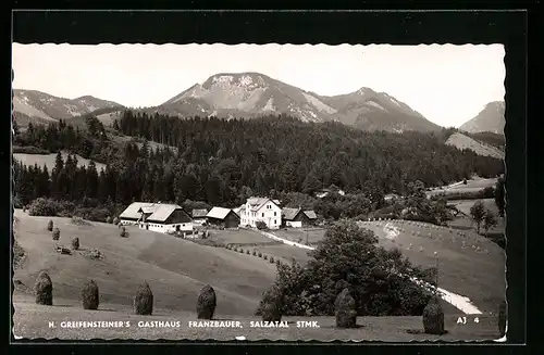 AK Franzbauer, Blick auf H. Greifensteiners Gasthaus