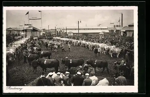 AK München, Landwirtschaftliche Wander-Ausstellung 1929, Rinderring