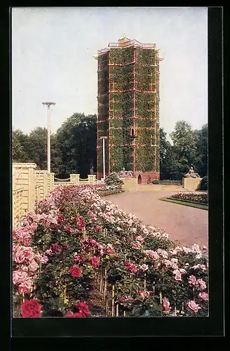 AK Dresden, Jubiläums-Gartenbau-Ausstellung, 1926, Blick vom Riesengrossen Rosengarten