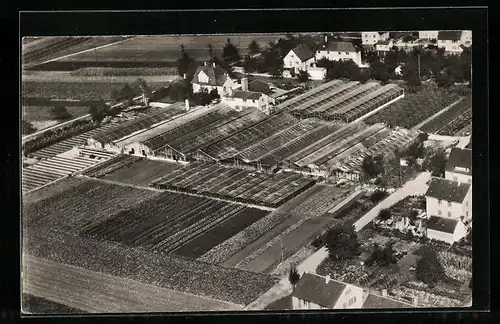 AK Kirchheim a. Neckar, Siegfried Beutter Schnittblumen, Fliegeraufnahme