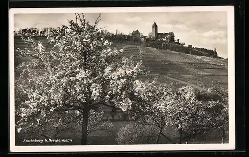 AK Stocksberg b. Brackenheim, Ortsansicht mit blühenden Bäumen, Landpoststempel
