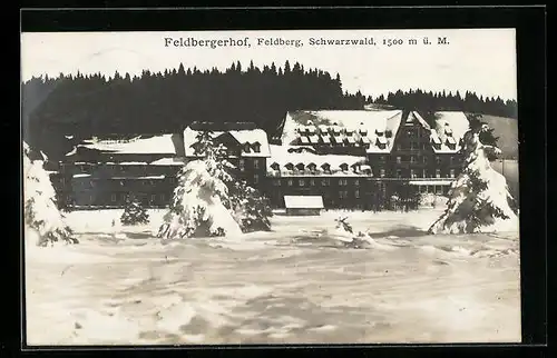 AK Feldberg /Schwarzwald, Feldbergerhof im Winter