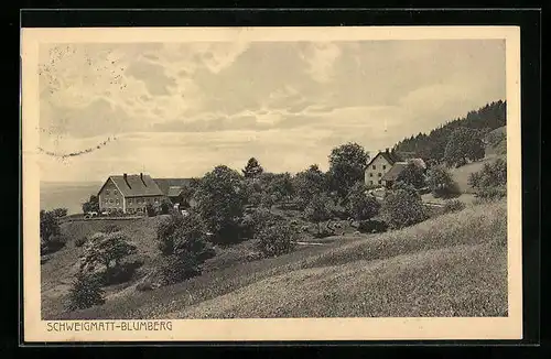 AK Schweigmatt-Blumberg, Ansicht von Wohnhäusern im Sommer