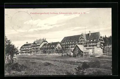 AK Feldberg /Schwarzwald, Feldberghof mit Wiese