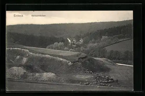 AK Einbeck, Waldschlösschen mit Umgebung und Schafherde