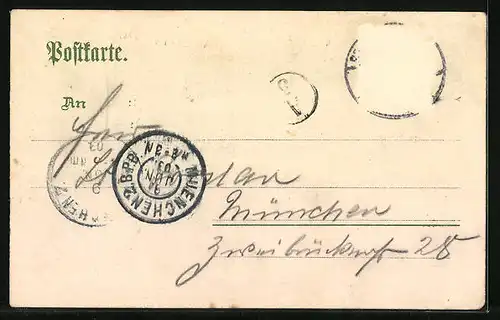 Lithographie Braunschweig, Herzogliches Residenzschloss, Wappen