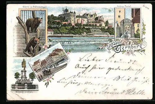 Lithographie Bernburg, Bären im Schlosszwinger, Schloss-Portal, Wolfgang-Denkmal