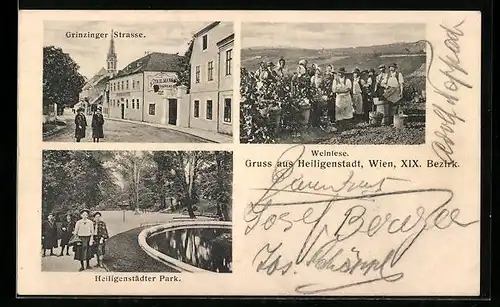 AK Wien-Heiligenstadt, Grinzinger Strasse, Park