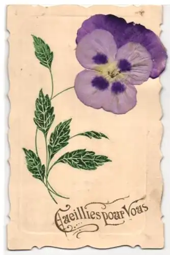 AK Cueillies pour vous, violettes Stiefmütterchen