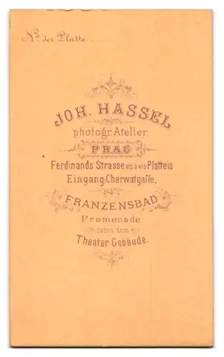 Fotografie Joh. Hassel, Franzensbad, Mann im Anzug mit gepflegtem Backenbart