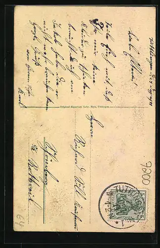 AK Tuttlingen, Ortsansicht mit See