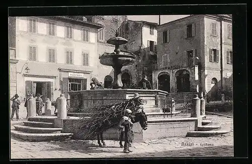 AK Assisi, Fontana