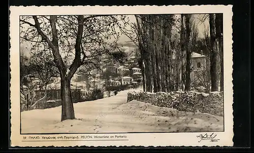 AK Pelion, Wintertime on Portaria