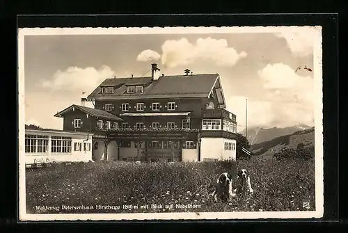 AK Hirschegg, Gasthaus Waldemar Petersenhaus mit Bernhardinern und Nebelhorn