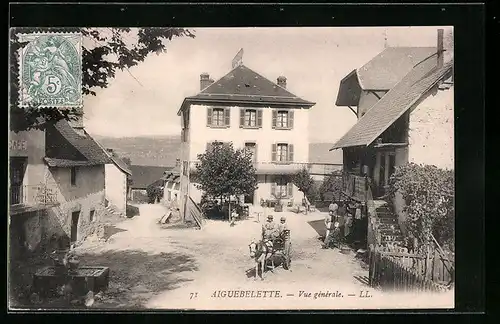 AK Aiguebelette, Vue générale