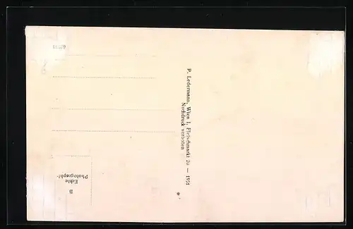 AK Allentsteig, Teilansicht aus der Vogelschau