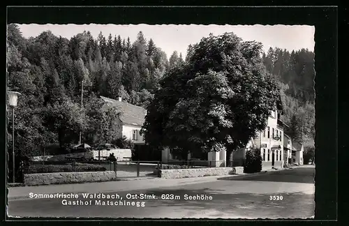 AK Waldbach, Strassenpartie mit Gasthof Matschinegg