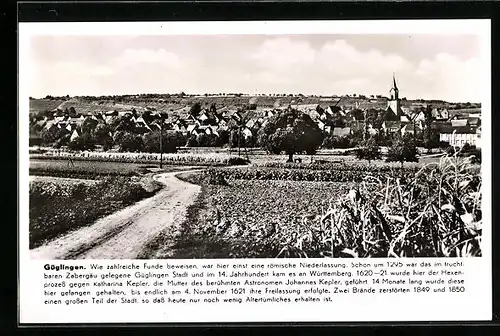 AK Güglingen, Ortsansicht mit Umland
