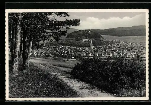 AK Tuttlingen, Ortsansicht mit Bergen