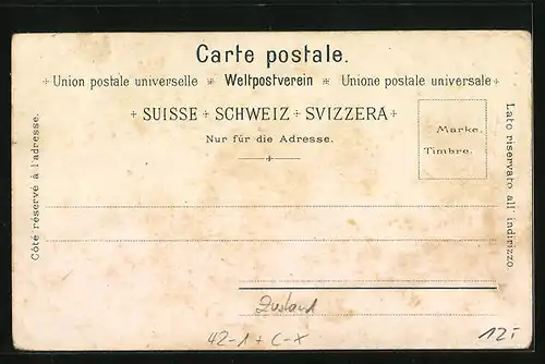 Lithographie Winterthur, Eidgenössisches Schützenfest 1895