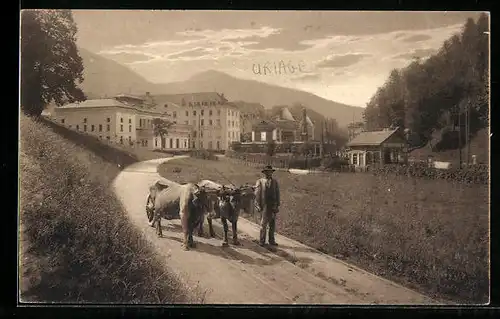 AK Uriage, Les Hôtels et la Station