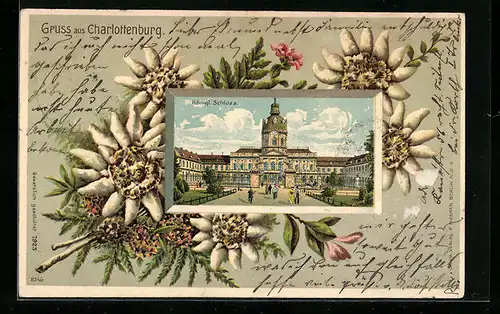 Passepartout-Lithographie Charlottenburg, Blick auf das königliche Schloss, Edelweiss