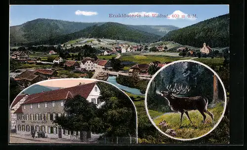 AK Enzklösterle b. Wildbad, Gasthaus und Pension zum Hirsch, Teilansicht