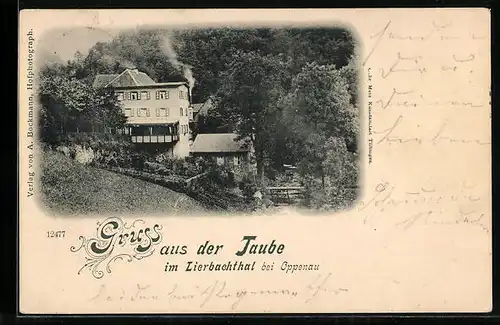 AK Lierbachthal, Gasthaus Taube