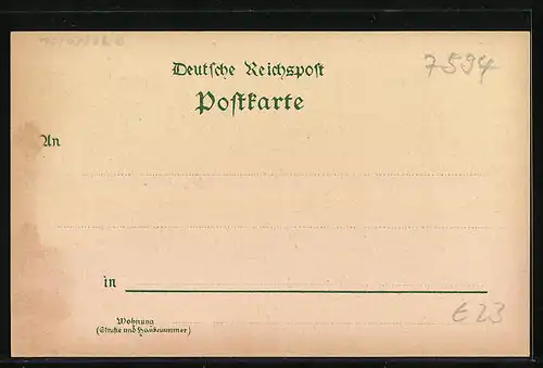 Lithographie Kappelrodeck, Handlung von August Roth, Gesamtansicht