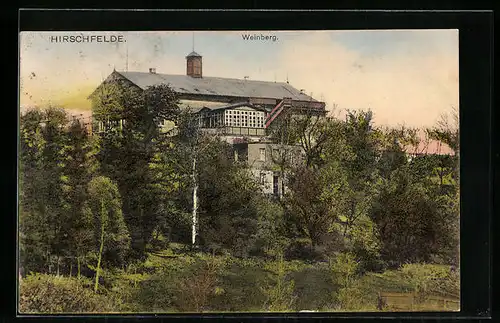 AK Hirschfelde, Blick zum Gasthaus auf dem Weinberg