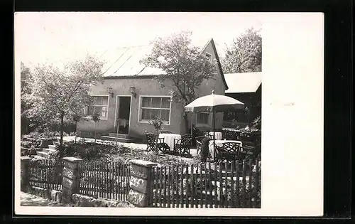 AK Königstein, Blick auf eine Gartenlaube