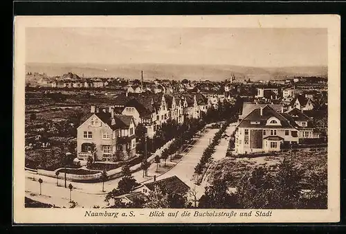 AK Naumburg a. S., Blick auf die Bucholzstrasse und die Stadt