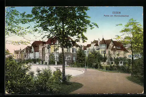 AK Essen, Partie am Bernewäldchen