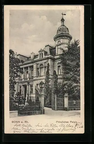 AK Bonn a. Rh., Blick auf das Prinzliche Palais
