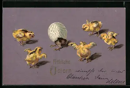AK Osterküken beobachten schlüpfendes Küken