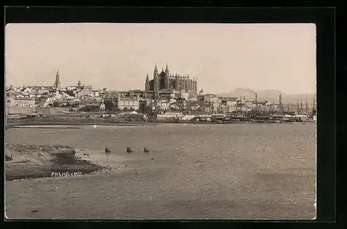 AK Palma de Mallorca, Panorama mit Kathedrale und Hafen