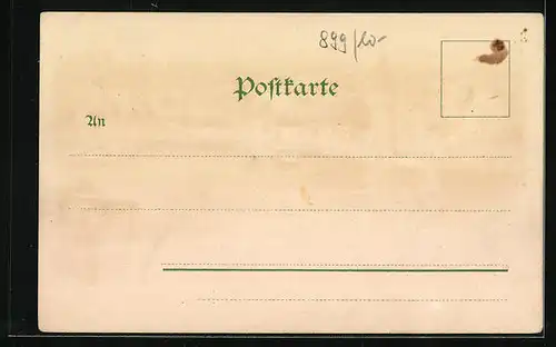 Lithographie Lindau i. B., Ortsansicht mit Dampferanleger