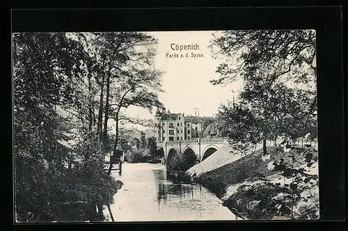 AK Berlin-Köpenick, Partie an der Spree mit Brücke Uferböschung