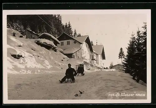 AK Hl. Wasser, Strassenpartie mit Schlittenfahrern