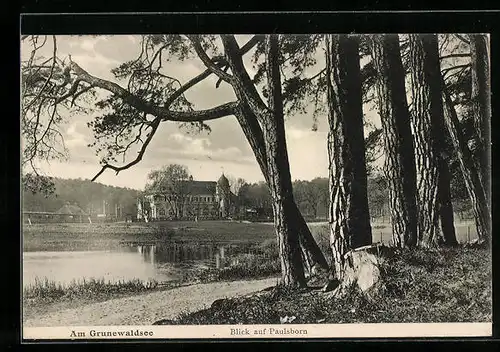 AK Grunewald, Blick auf Paulsborn am Grunewaldsee